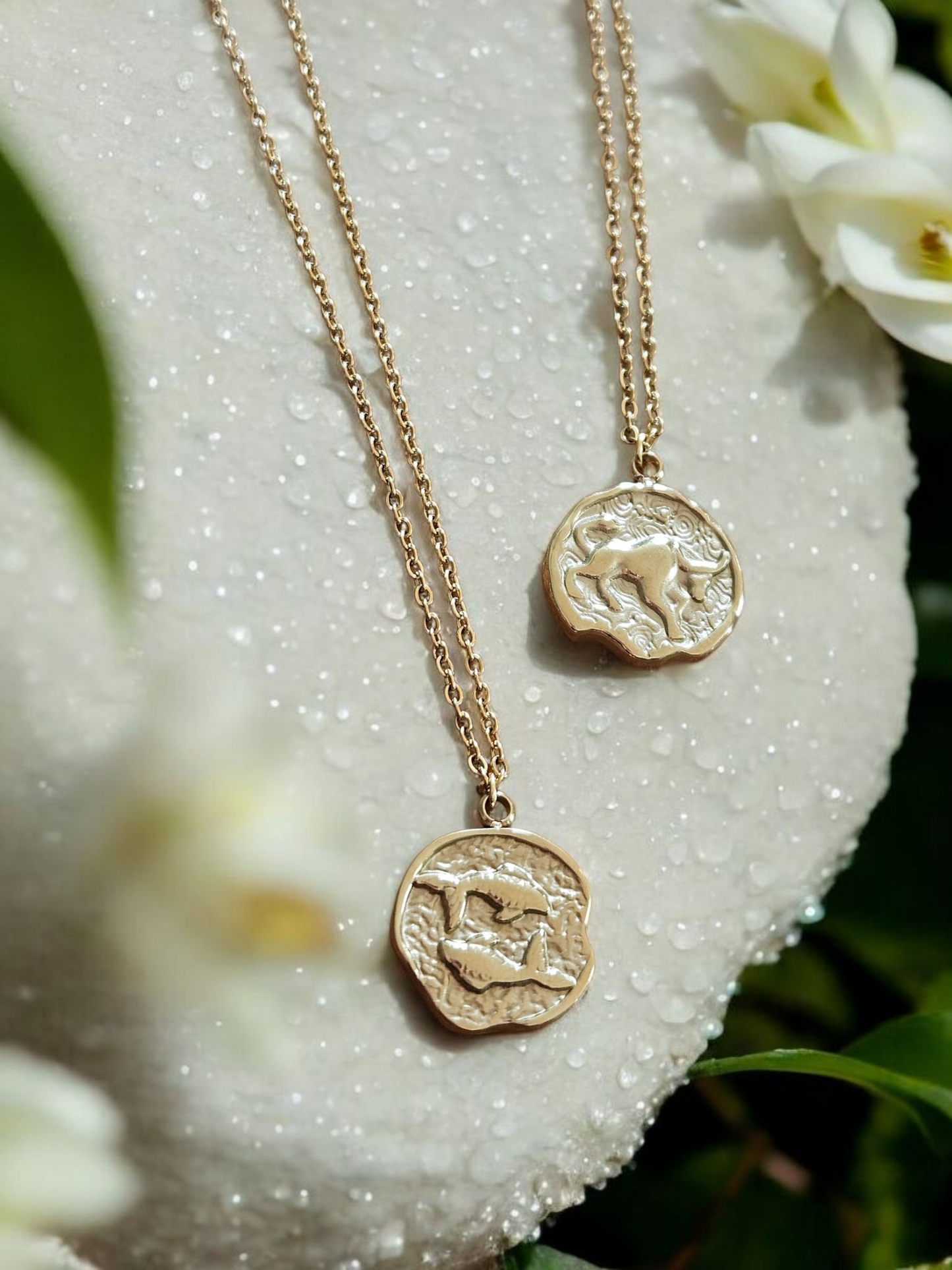 The Zodiacs Necklace