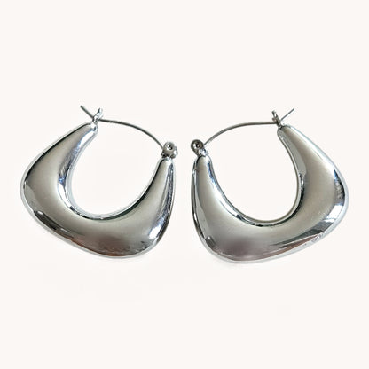 Zara Earrings