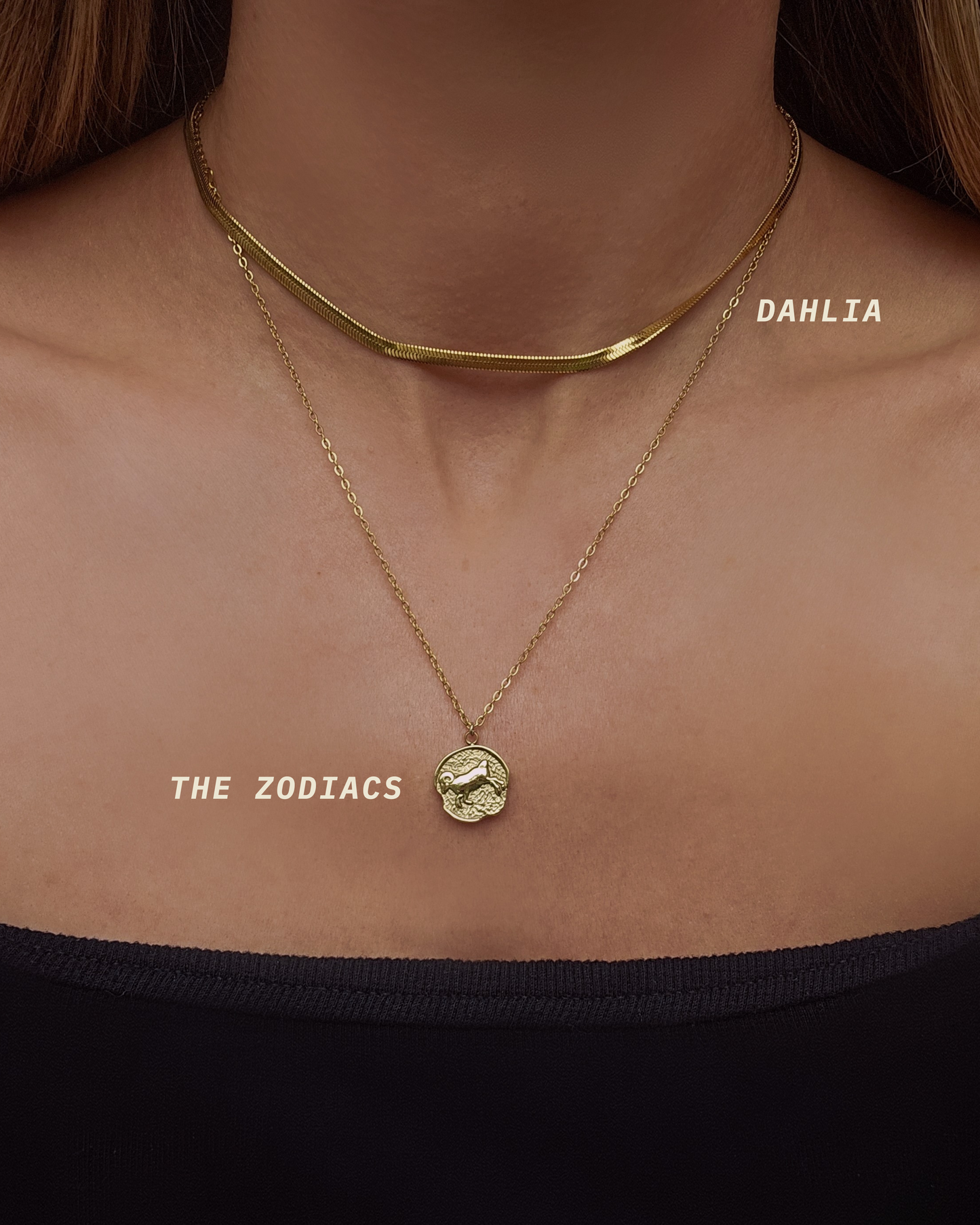 The Zodiacs Necklace